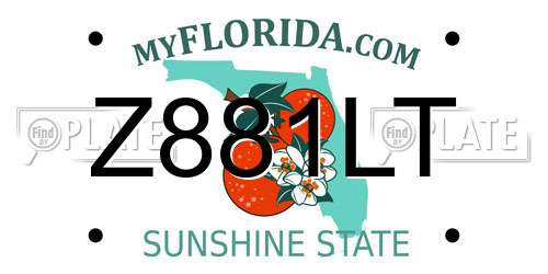 Z881LT Florida License Plate