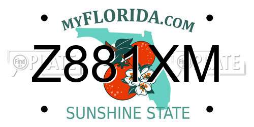 Z881XM Florida License Plate