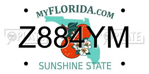 Z884YM Florida License Plate