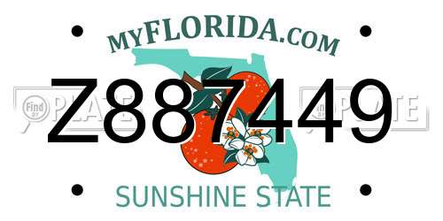 Z887449 Florida License Plate