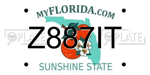 Z887IT Florida License Plate