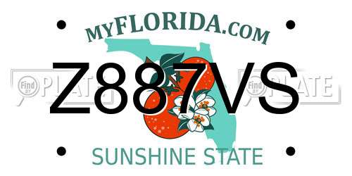 Z887VS Florida License Plate