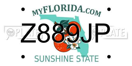 Z889JP Florida License Plate