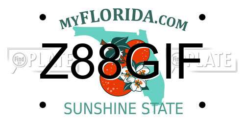 Z88GIF Florida License Plate