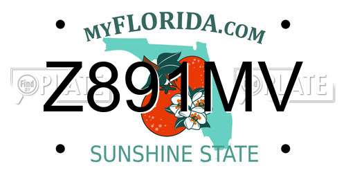 Z891MV Florida License Plate