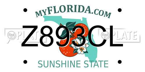 Z893CL Florida License Plate