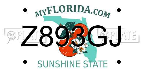 Z893GJ Florida License Plate