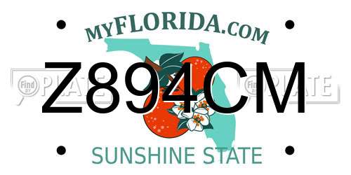 Z894CM Florida License Plate
