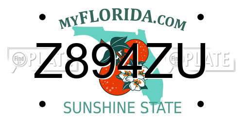 Z894ZU Florida License Plate