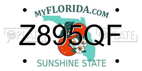 Z895QF Florida License Plate