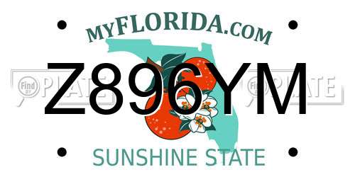 Z896YM Florida License Plate