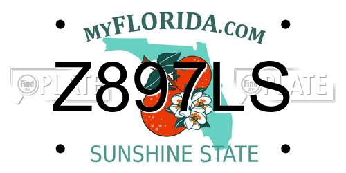 Z897LS Florida License Plate