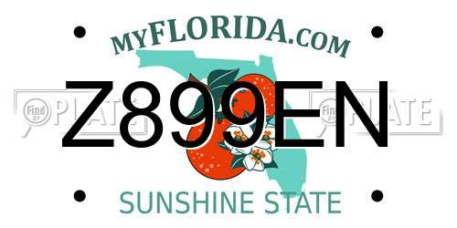 Z899EN Florida License Plate