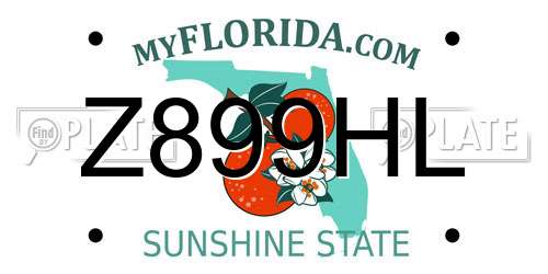Z899HL Florida License Plate