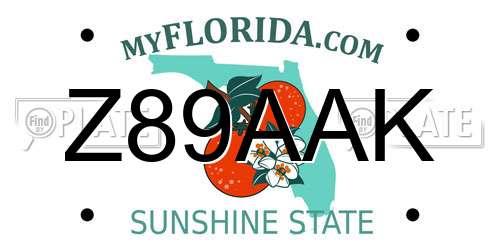 Z89AAK Florida License Plate