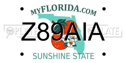 Z89AIA Florida License Plate