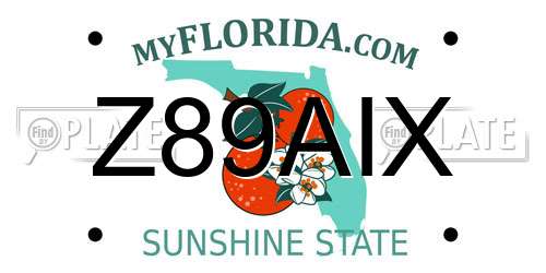 Z89AIX Florida License Plate
