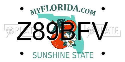 Z89BFV Florida License Plate