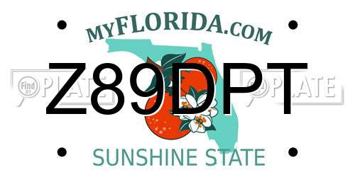 Z89DPT Florida License Plate