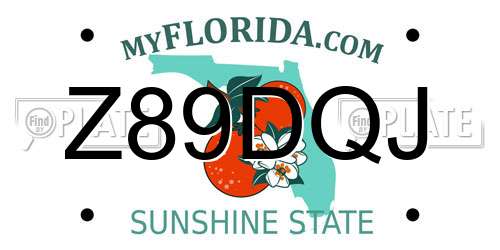 Z89DQJ Florida License Plate