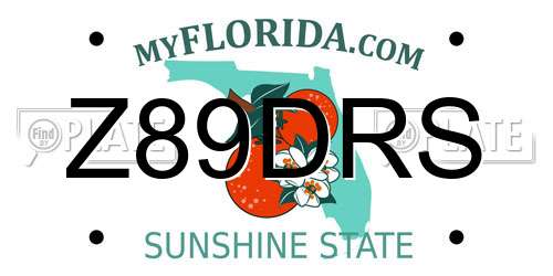 Z89DRS Florida License Plate