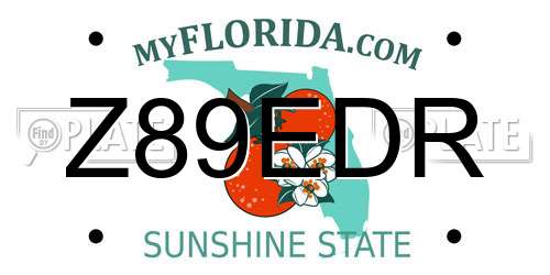 Z89EDR Florida License Plate