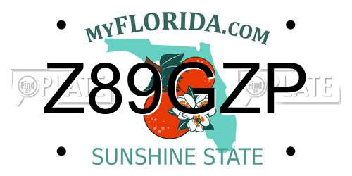 Z89GZP Florida License Plate