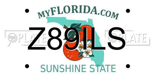 Z89ILS Florida License Plate