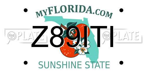 Z89ITI Florida License Plate