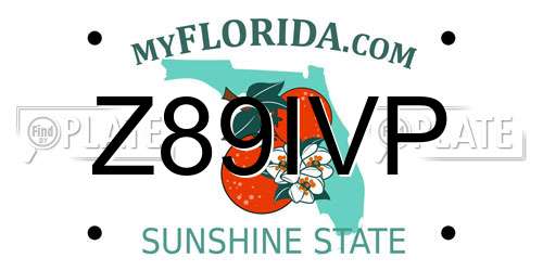 Z89IVP Florida License Plate