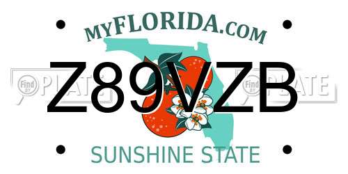 Z89VZB Florida License Plate