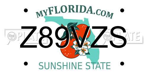 Z89VZS Florida License Plate