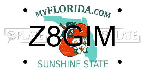 Z8GIM Florida License Plate
