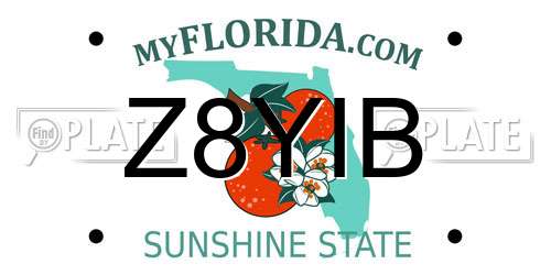 Z8YIB Florida License Plate
