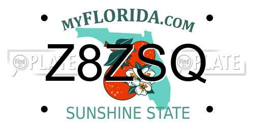 Z8ZSQ Florida License Plate