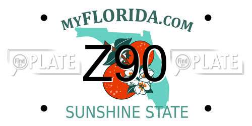 Z90 Florida License Plate