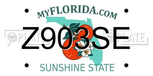 Z903SE Florida License Plate