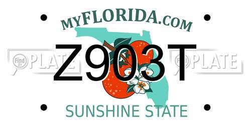 Z903T Florida License Plate
