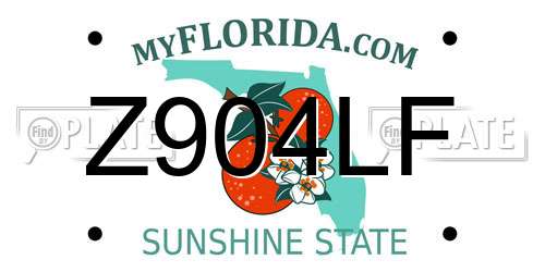 Z904LF Florida License Plate