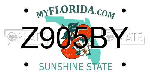 Z905BY Florida License Plate