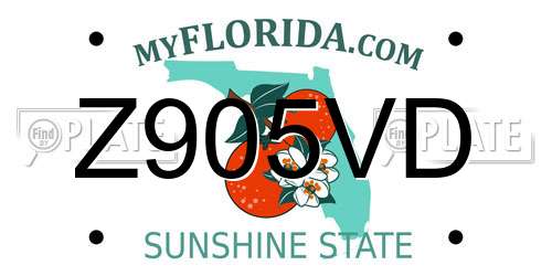 Z905VD Florida License Plate