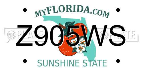 Z905WS Florida License Plate