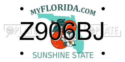 Z906BJ Florida License Plate