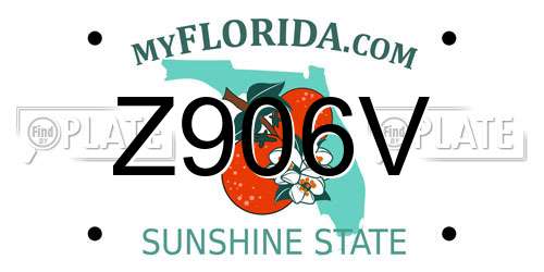 Z906V Florida License Plate