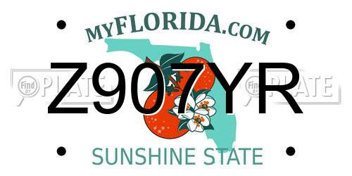 Z907YR Florida License Plate