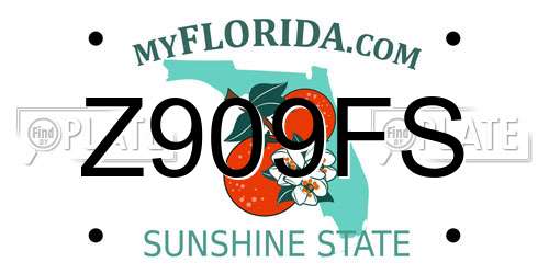 Z909FS Florida License Plate