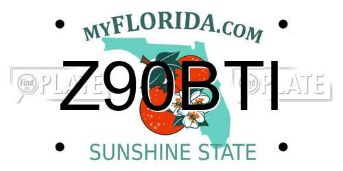 Z90BTI Florida License Plate