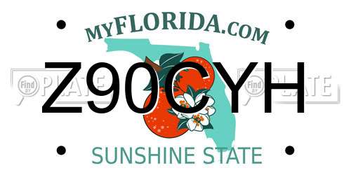 Z90CYH Florida License Plate