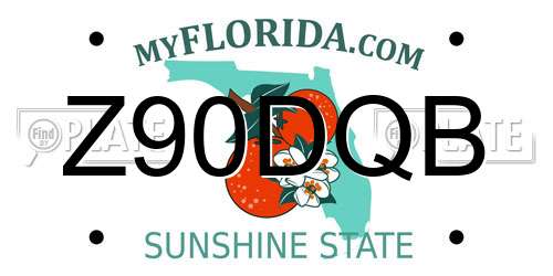 Z90DQB Florida License Plate