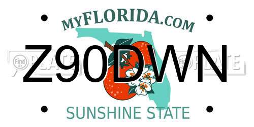 Z90DWN Florida License Plate